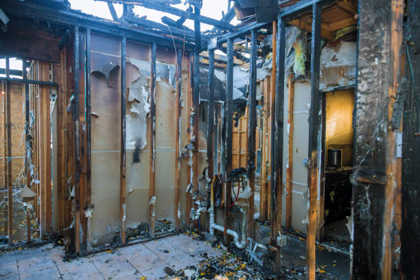 Professional Fire Damage Removal technician working in Rainbow Springs, FL
